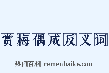 赏梅偶成反义词是什么意思的图片